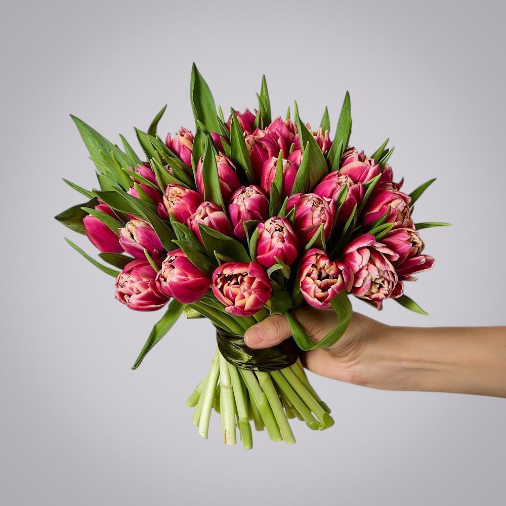 монобукет 51 тюльпан “каламбус” под ленту 