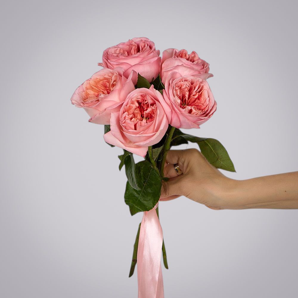 монобукет 5 пионовидных роз "pink x-pression" под ленту 