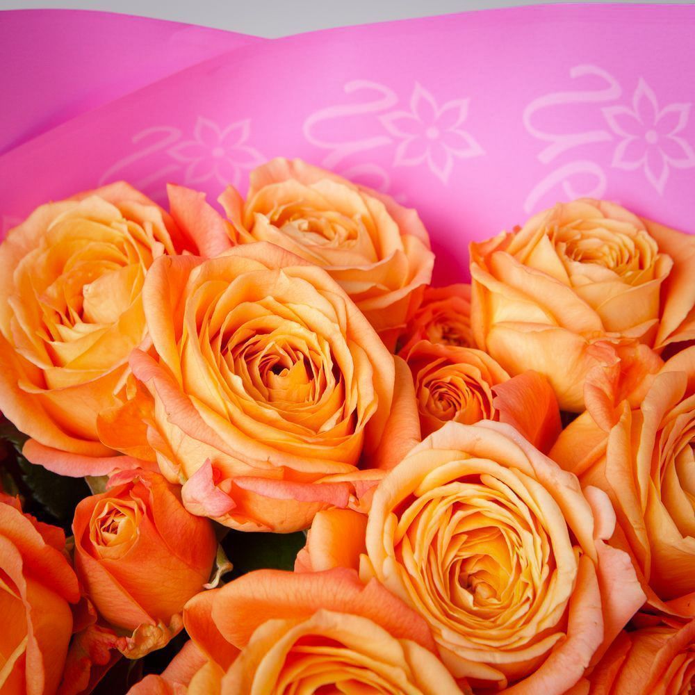 монобукет 5 кустовых роз "apricot lace"  в упаковке 