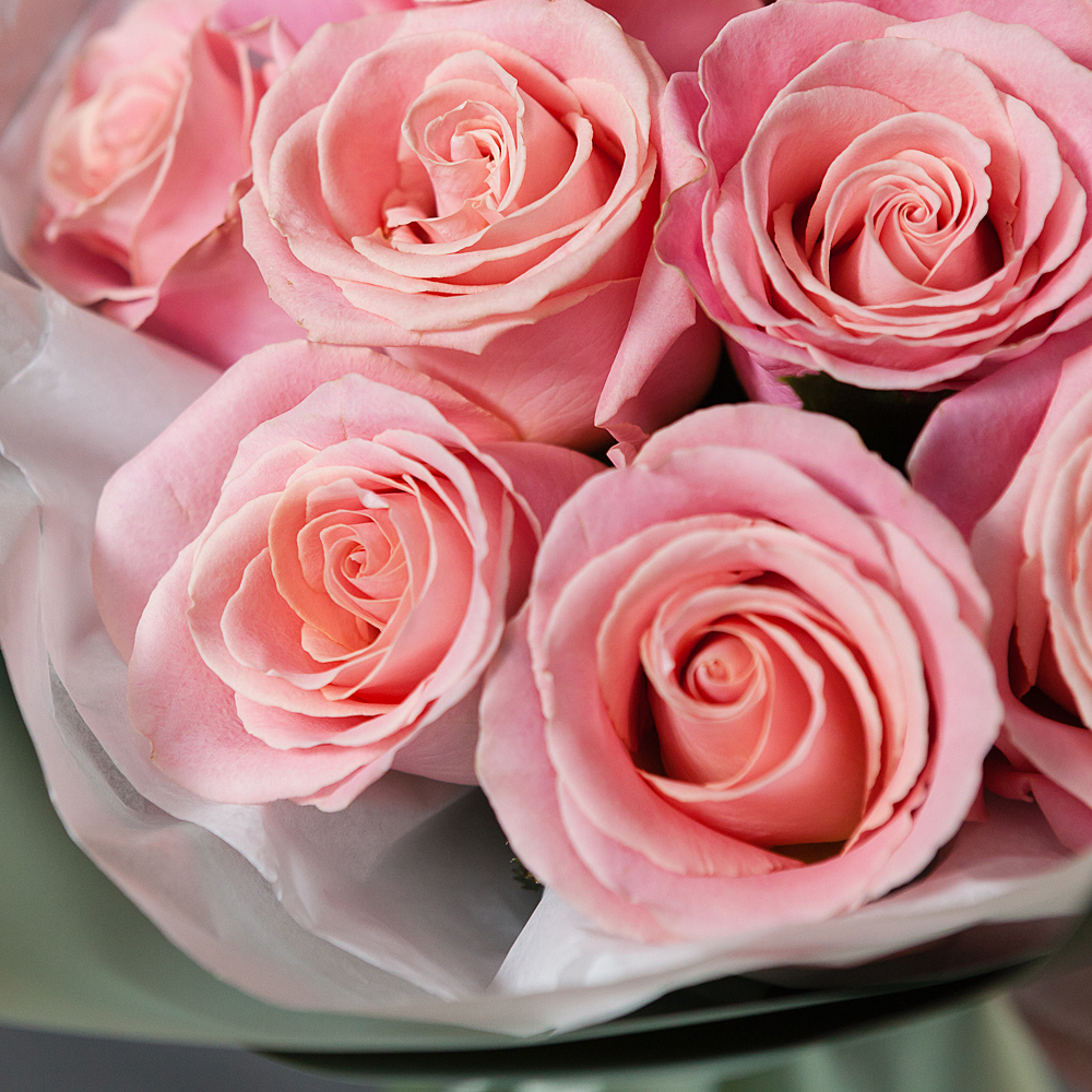 монобукет из 11 роз "hermosa" в упаковке 