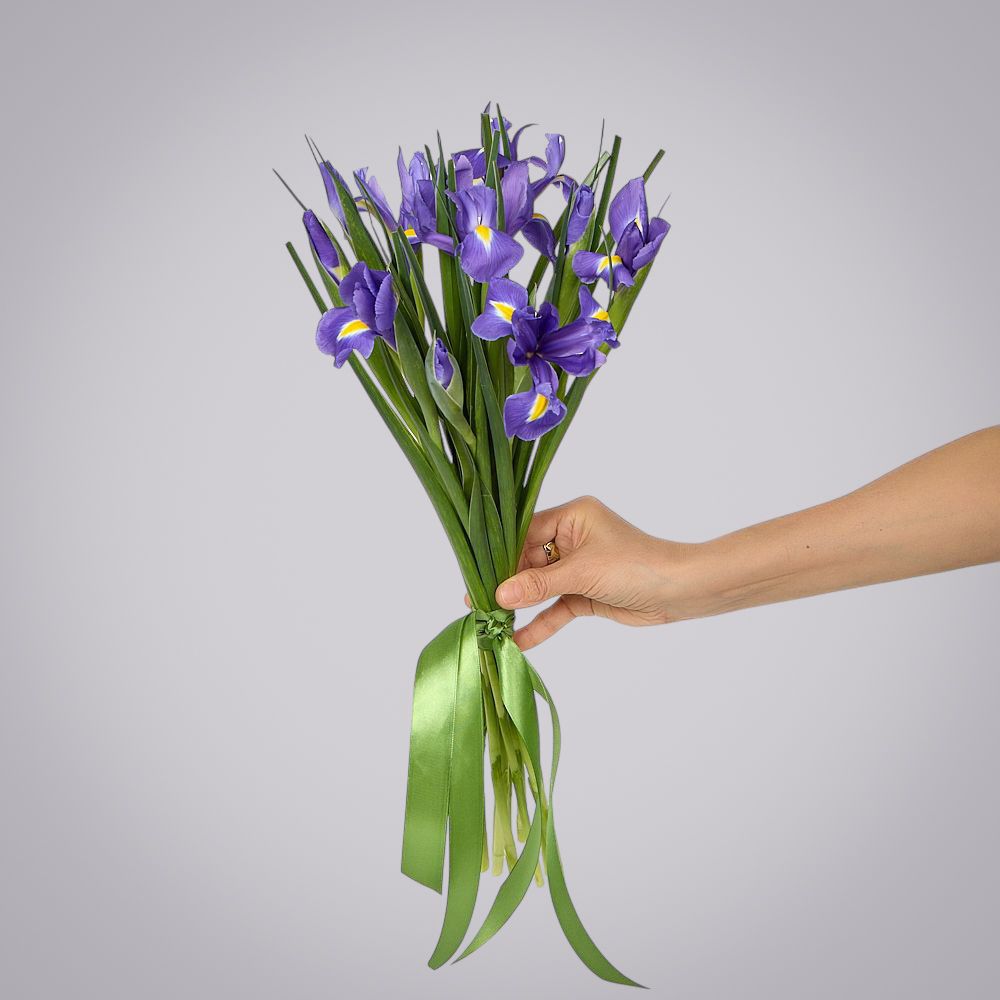 монобукет из 11 синих ирисов под ленту 