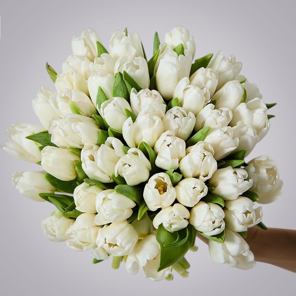 монобукет 51 белый тюльпан под ленту 