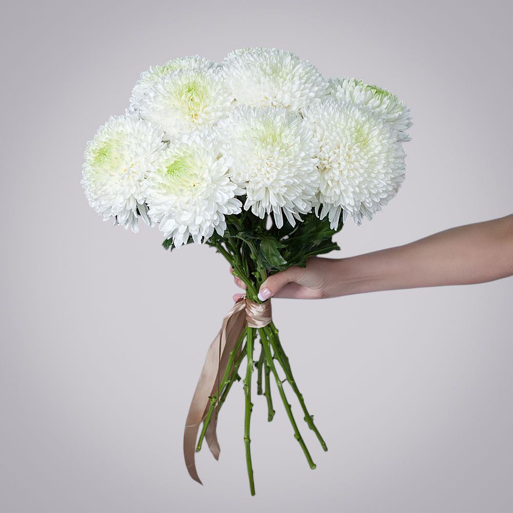 монобукет из 9 белых хризантем magnum 