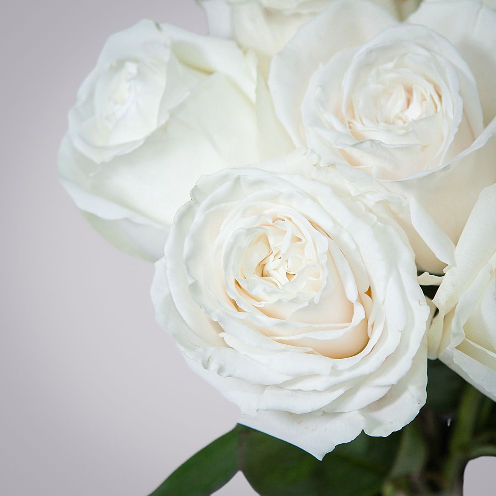 монобукет 9 пионовидных роз "playa blanca" под ленту 