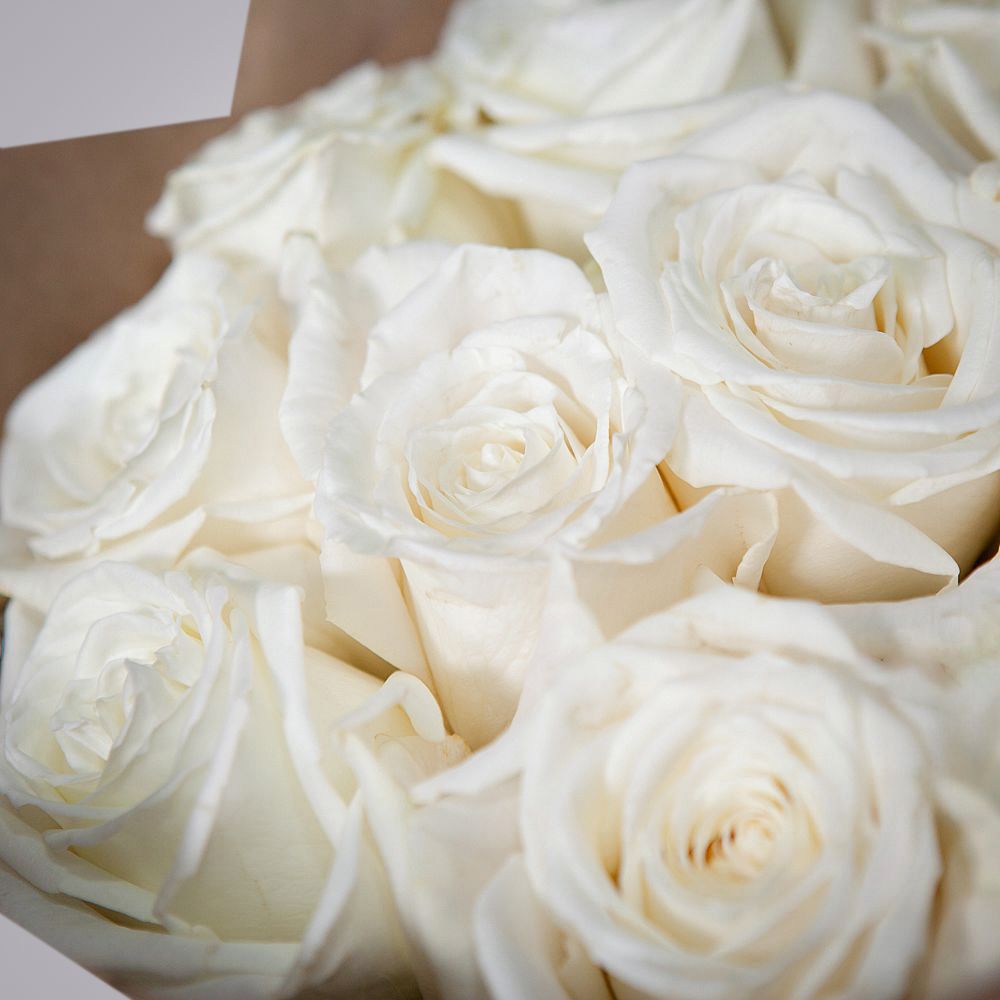 монобукет из 11 пионовидных роз "playa blanca" в крафте 