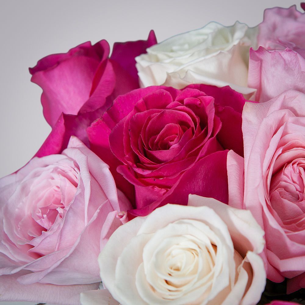 монобукет из 15 роз микс-8  под ленту 