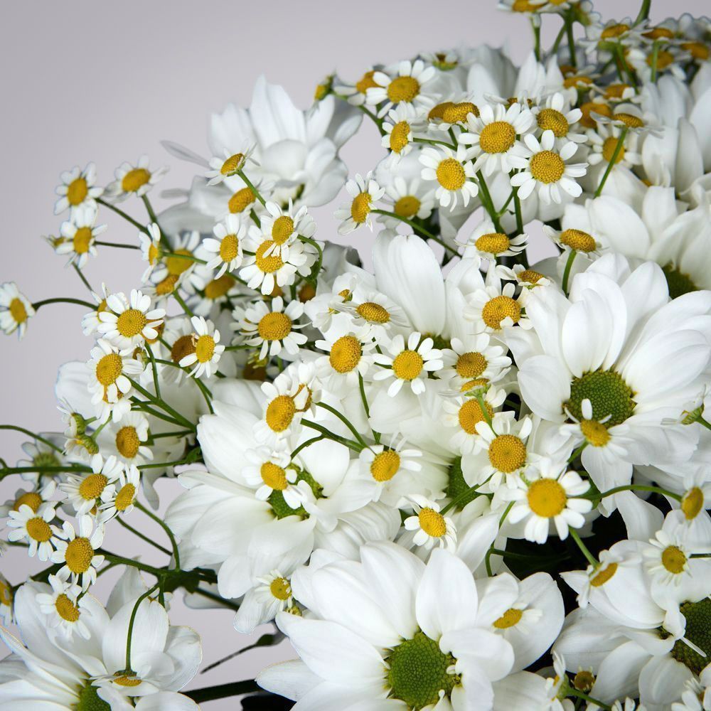 букет "весенний букет" 