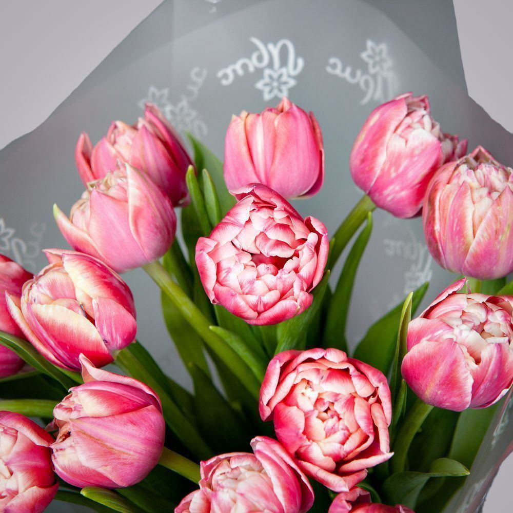 монобукет из 17 розовых тюльпанов в упаковке 