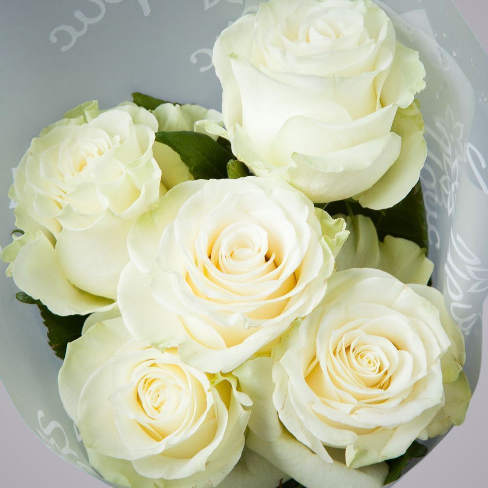 монобукет 5 роз "mondial" в упаковке 