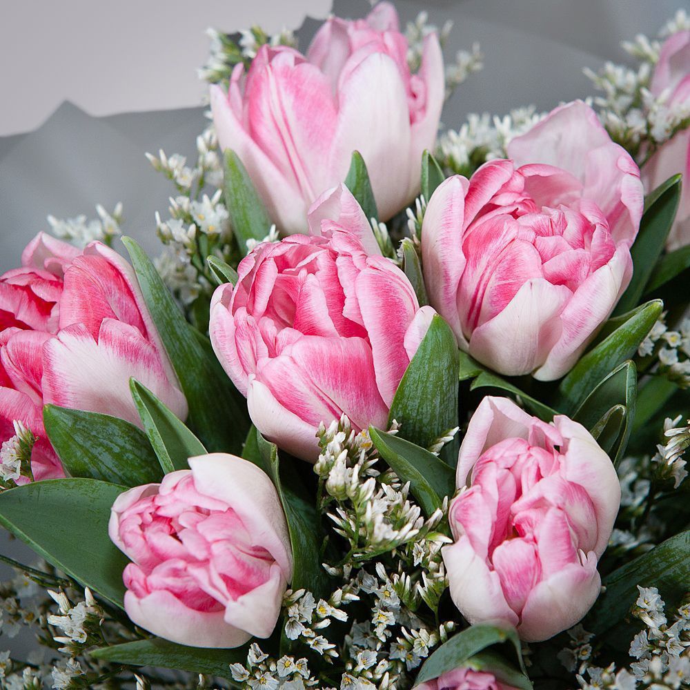 монобукет из 9 тюльпанов в упаковке 