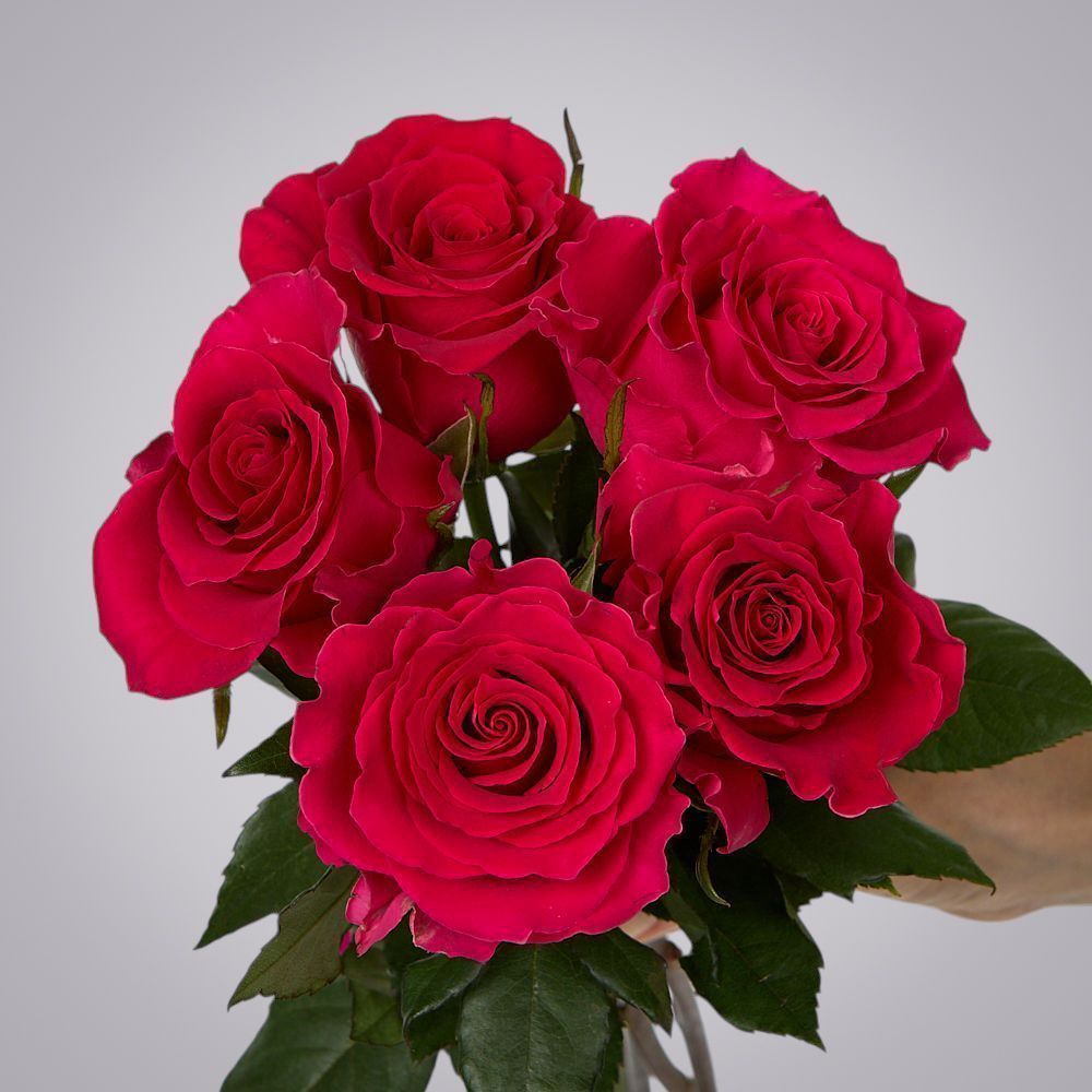 монобукет 5 роз "gotcha" под ленту 