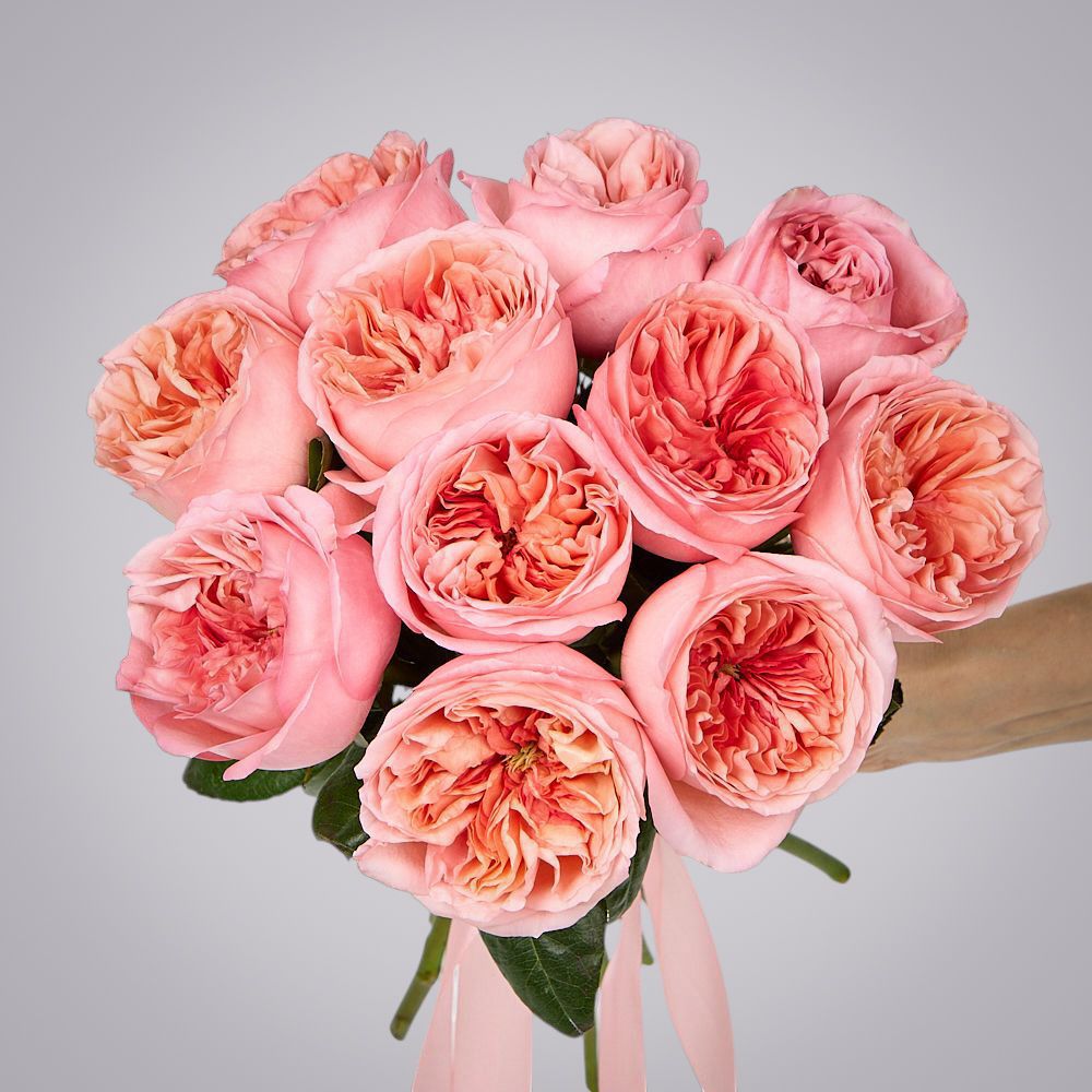 монобукет 11 пионовидных роз "pink x-pression" под ленту 