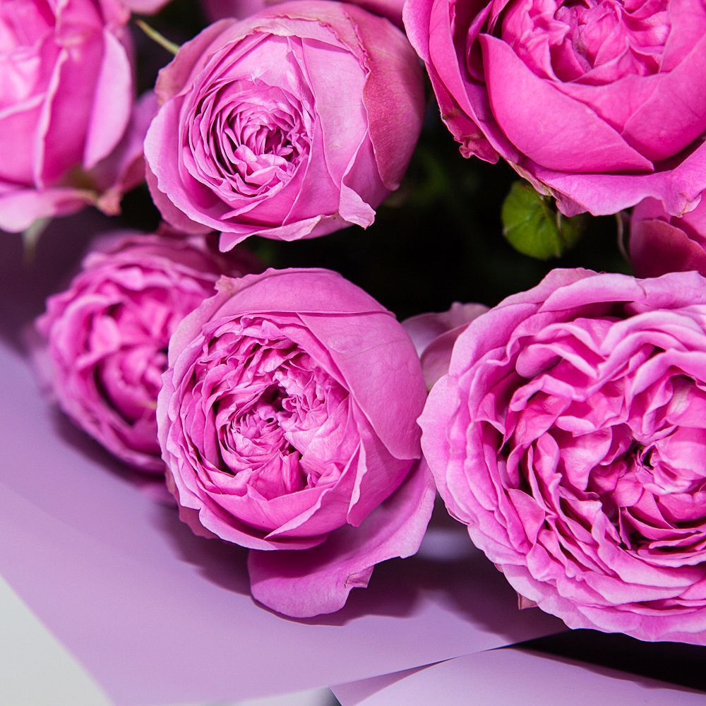 монобукет 9 кустовых роз "misty bubbles"  в упаковке 