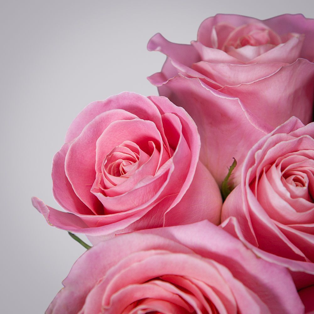 монобукет 7 роз "hermosa" под ленту 