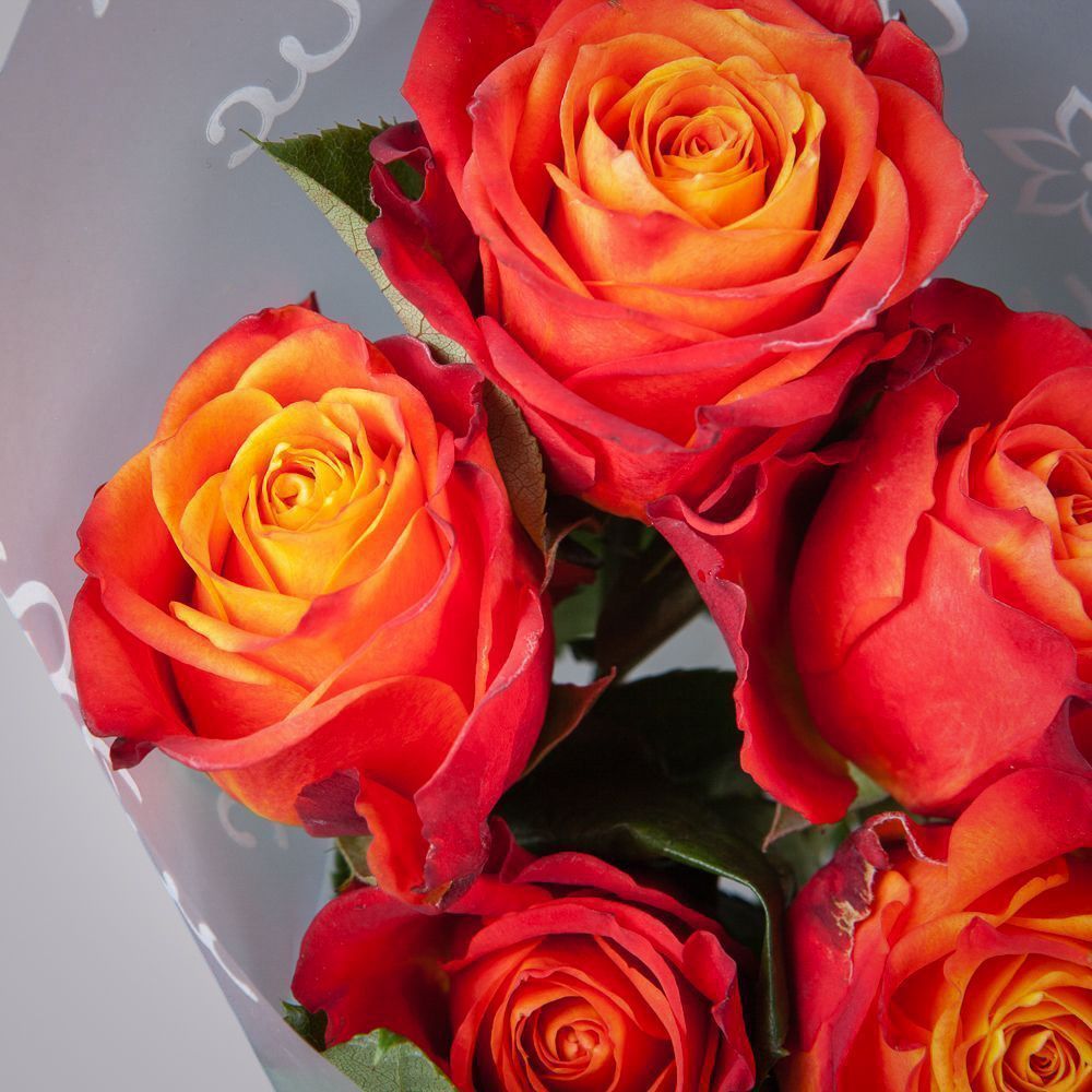 монобукет 5 роз "atomic" в упаковке 