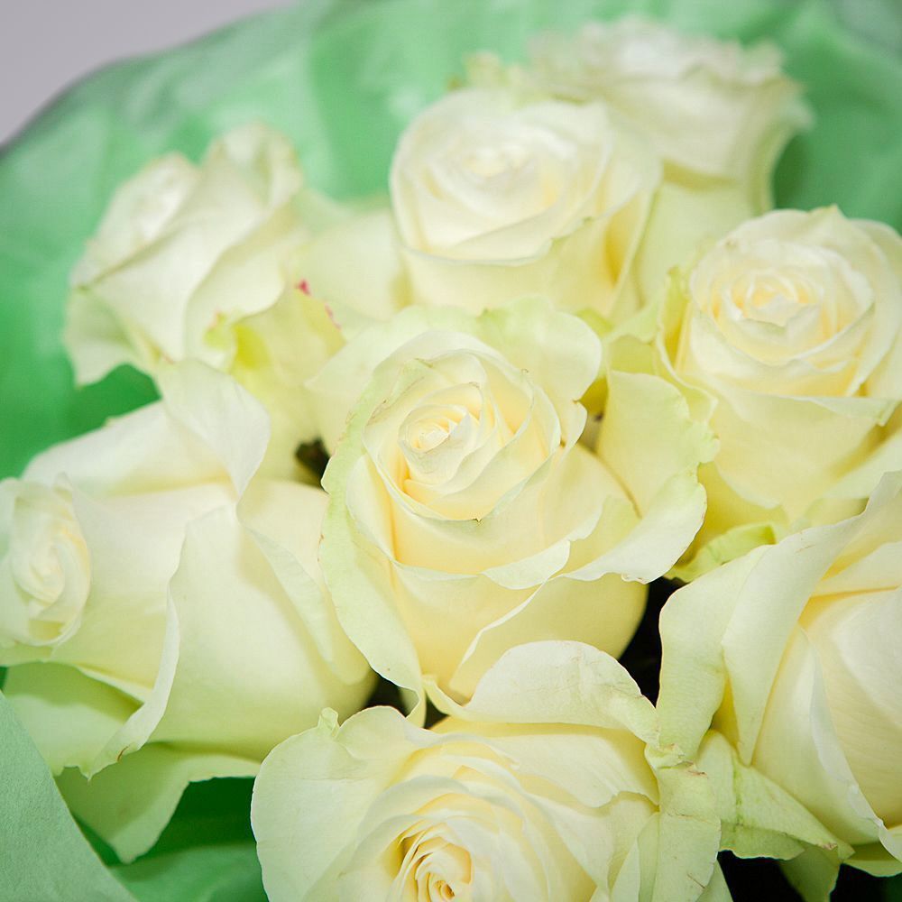 монобукет 9 роз "mondial" в светло-зеленой упаковке с тишью 