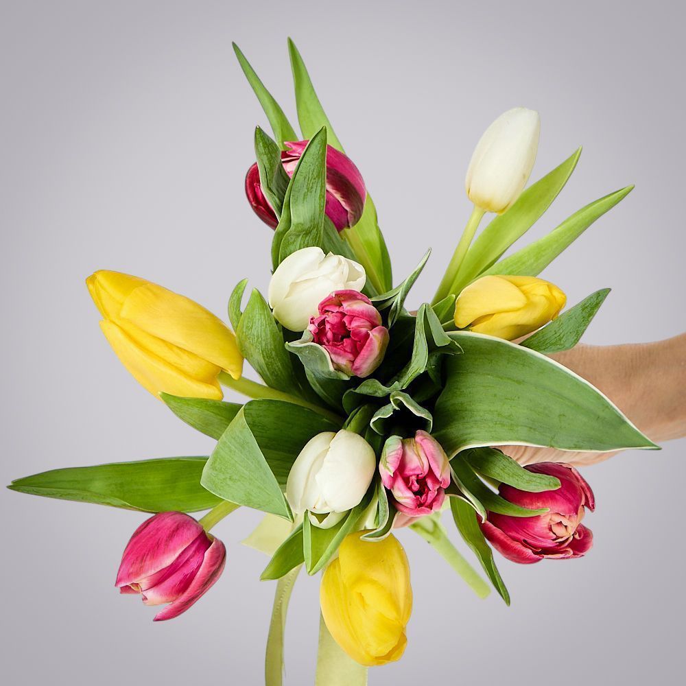 монобукет из 11 тюльпанов микс под ленту 