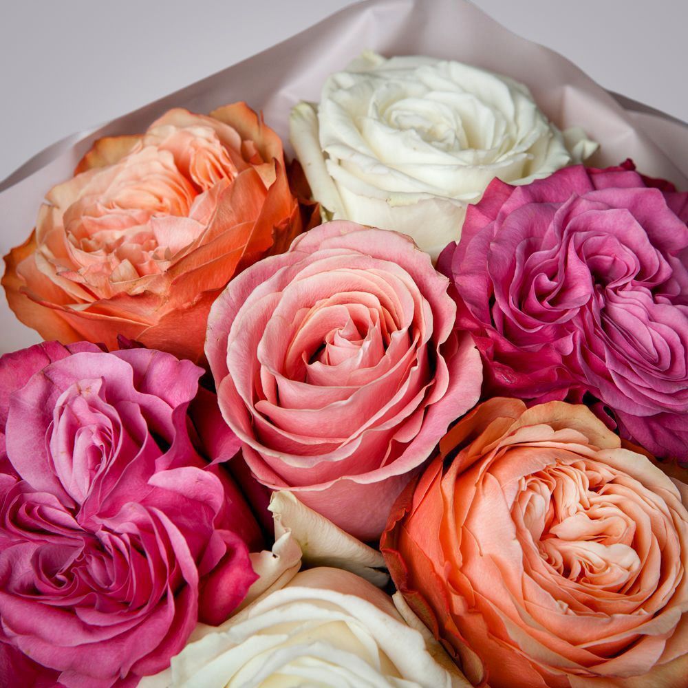 монобукет из 7 роз микс 1 