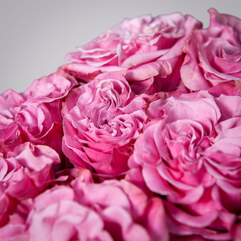 монобукет 11 пионовидных роз "country blues" под ленту 