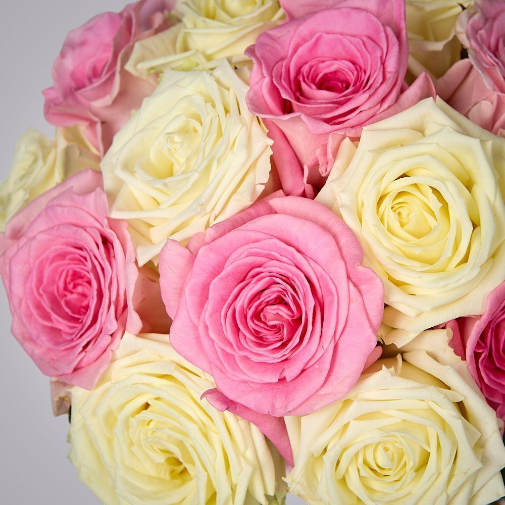 монобукет бело-розовый микс из 15 роз россия под ленту 1 