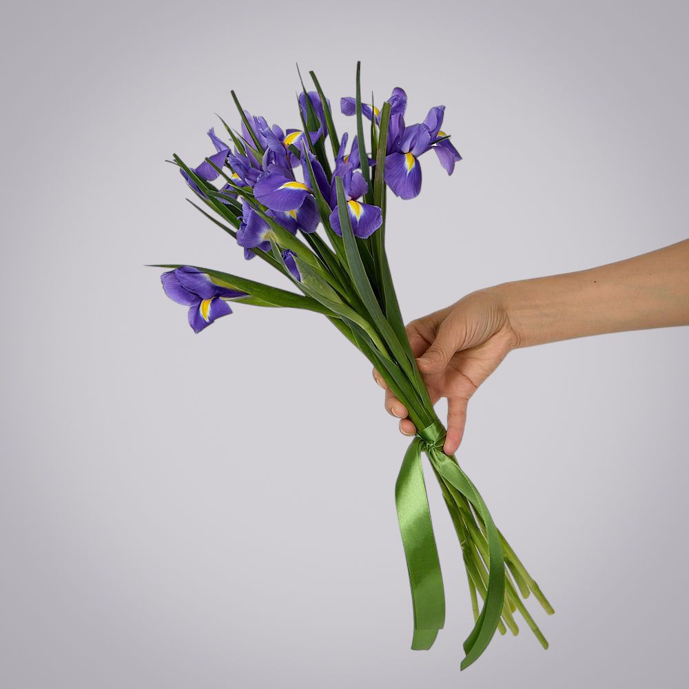 монобукет из 9 синих ирисов под ленту 