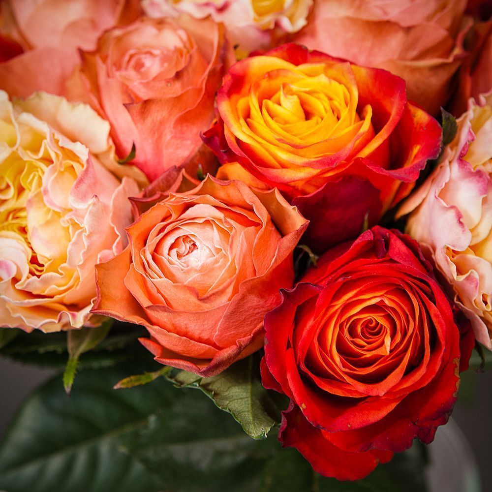 монобукет из 21 роз микс-2 под ленту 