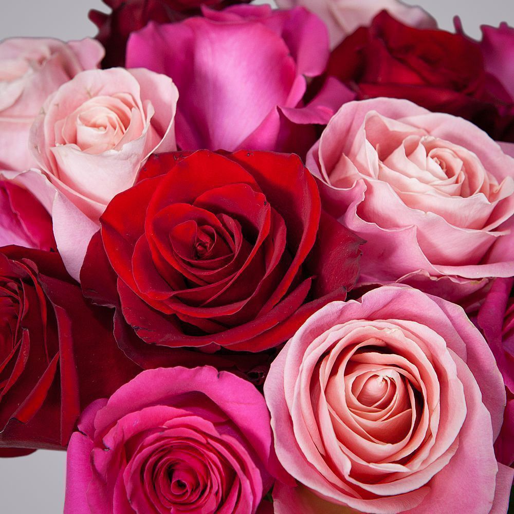 монобукет из 15 роз микс-6 под ленту 