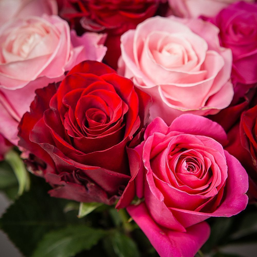 монобукет из 21 роз микс под ленту 