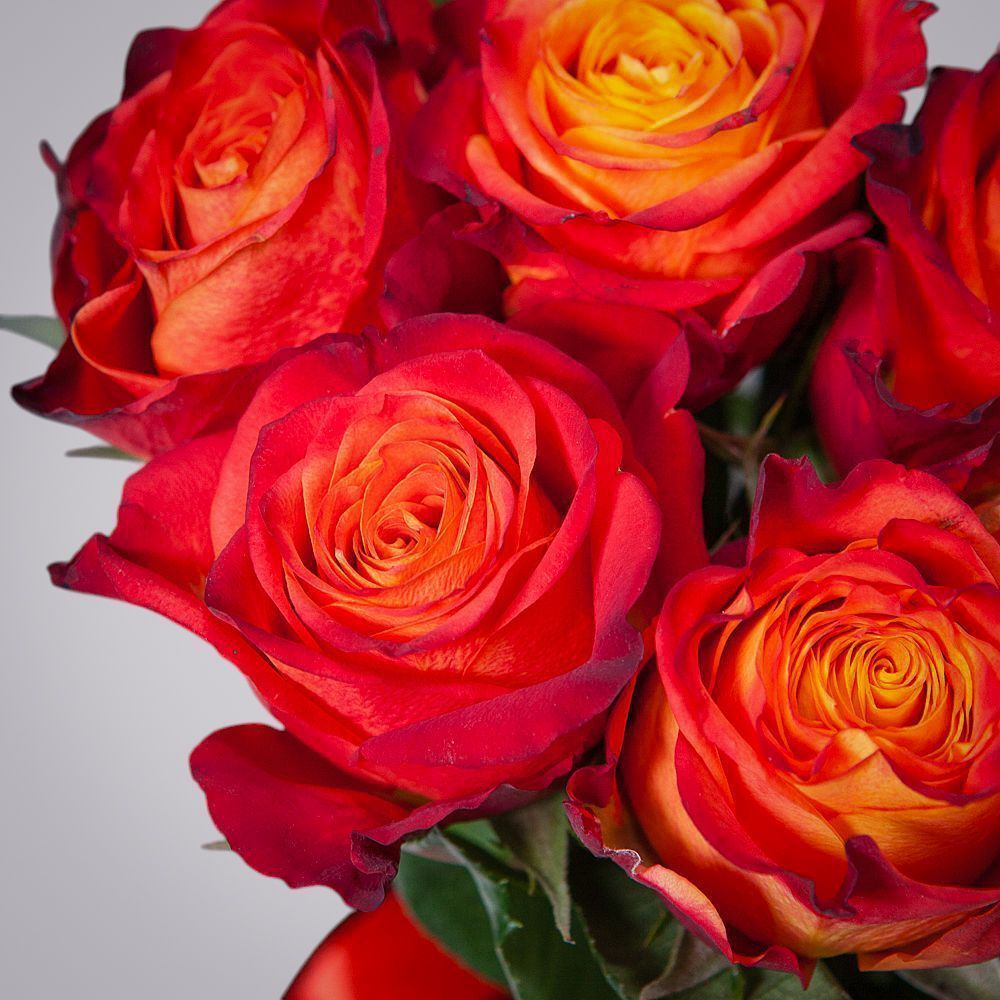 монобукет 7 роз "atomic" под ленту 