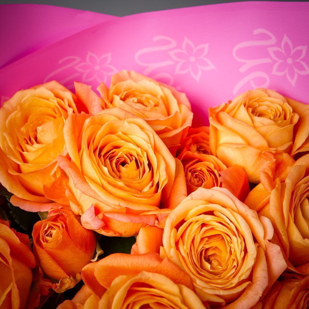монобукет 5 кустовых роз "apricot lace"  в упаковке 