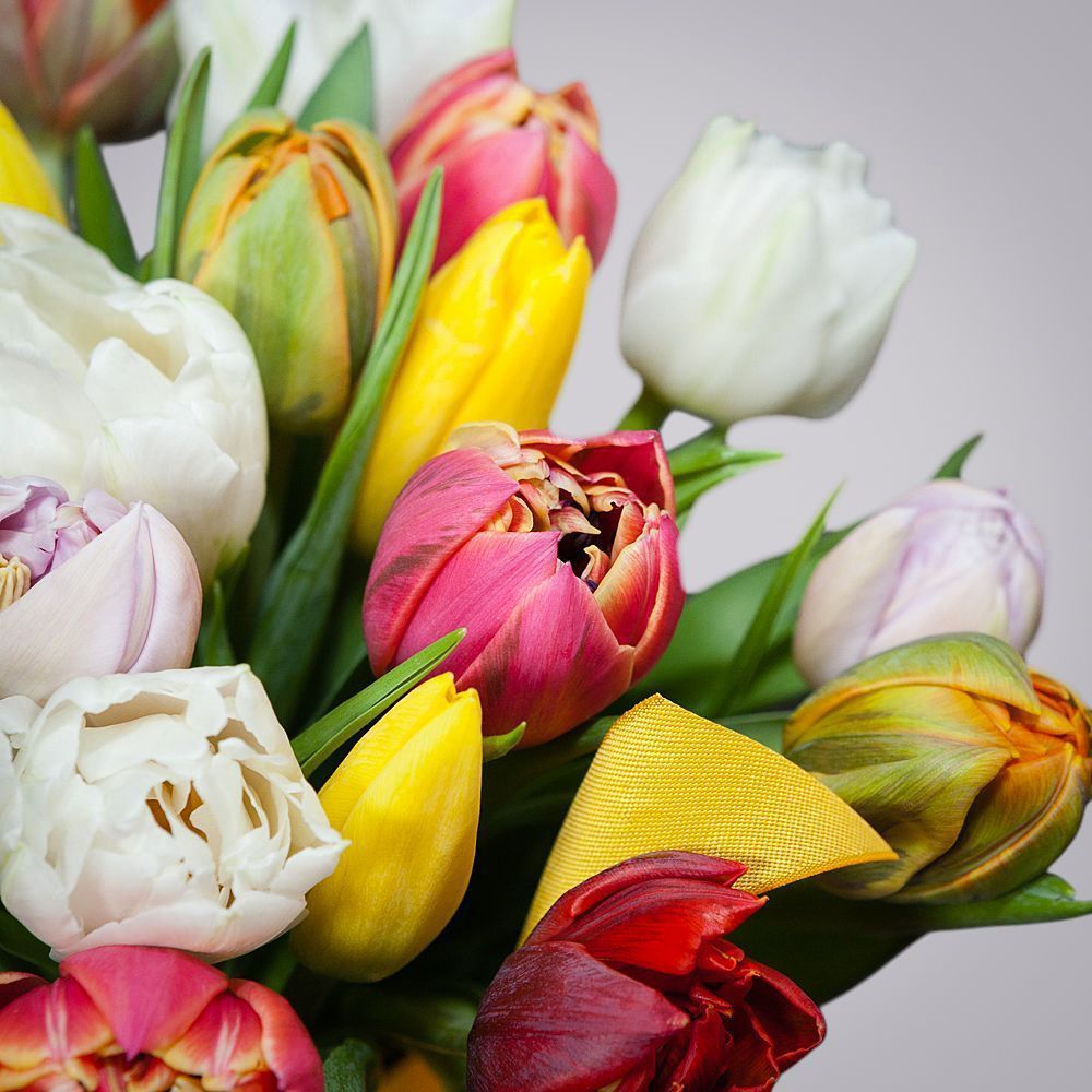 монобукет из 15 тюльпанов микс 