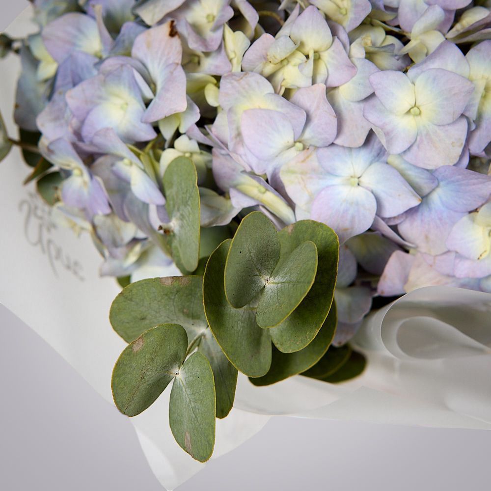 монобукет из голубой гортензии с эвкалиптом  