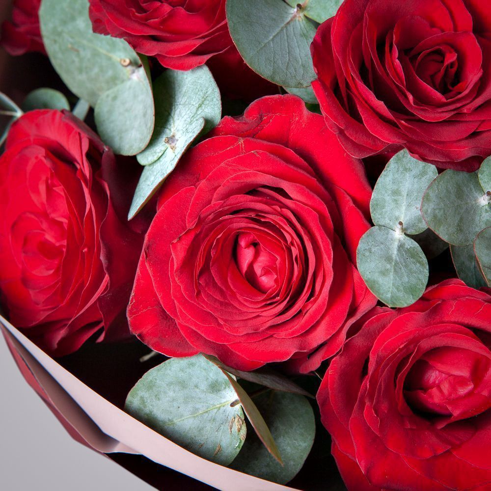 монобукет 11 роз chekmate в упаковке 