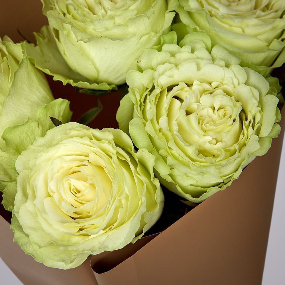 монобукет из 5 пионовидных роз "lemonade" в упаковке 