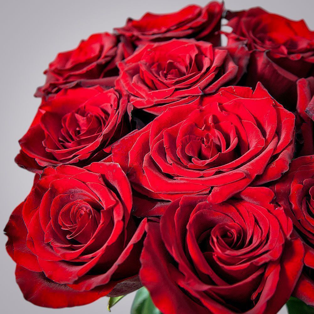 монобукет 11 роз explorer под ленту 