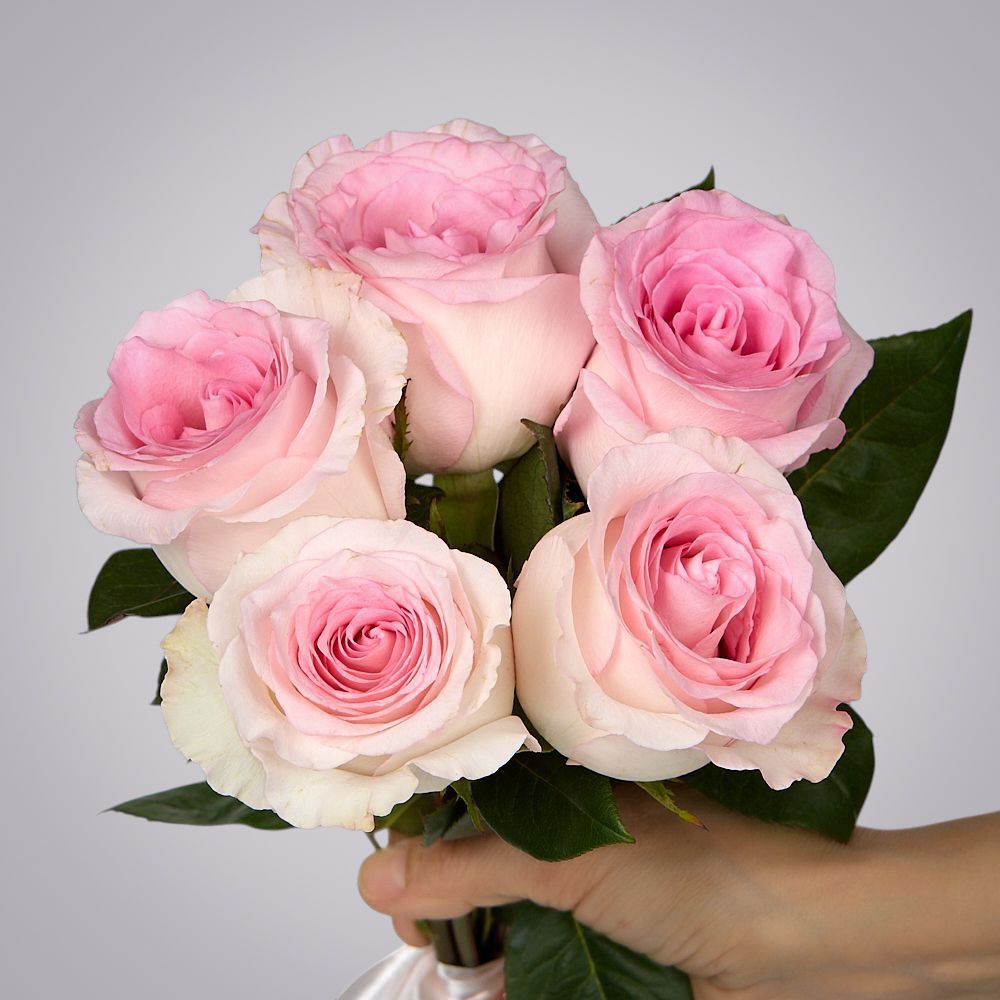 монобукет 5 пионовидных роз "mandala" под ленту 