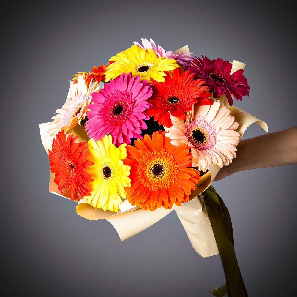 монобукет из 11 гербер в упаковке 