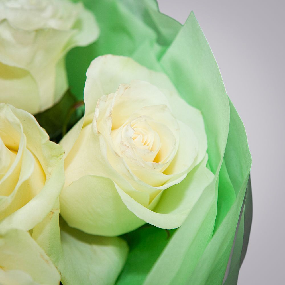 монобукет 9 роз "mondial" в светло-зеленой упаковке с тишью 