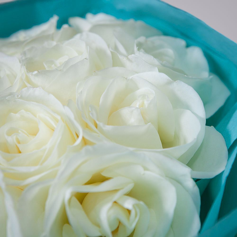 монобукет 11 роз "tibet" в упаковке с тишью 