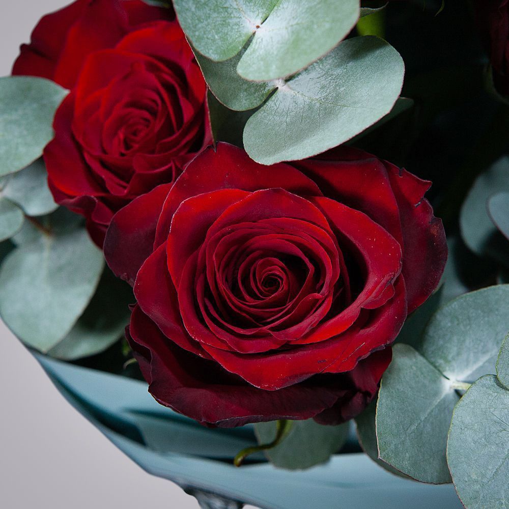 сет 10 букетов по 5 роз "explorer" в упаковке 