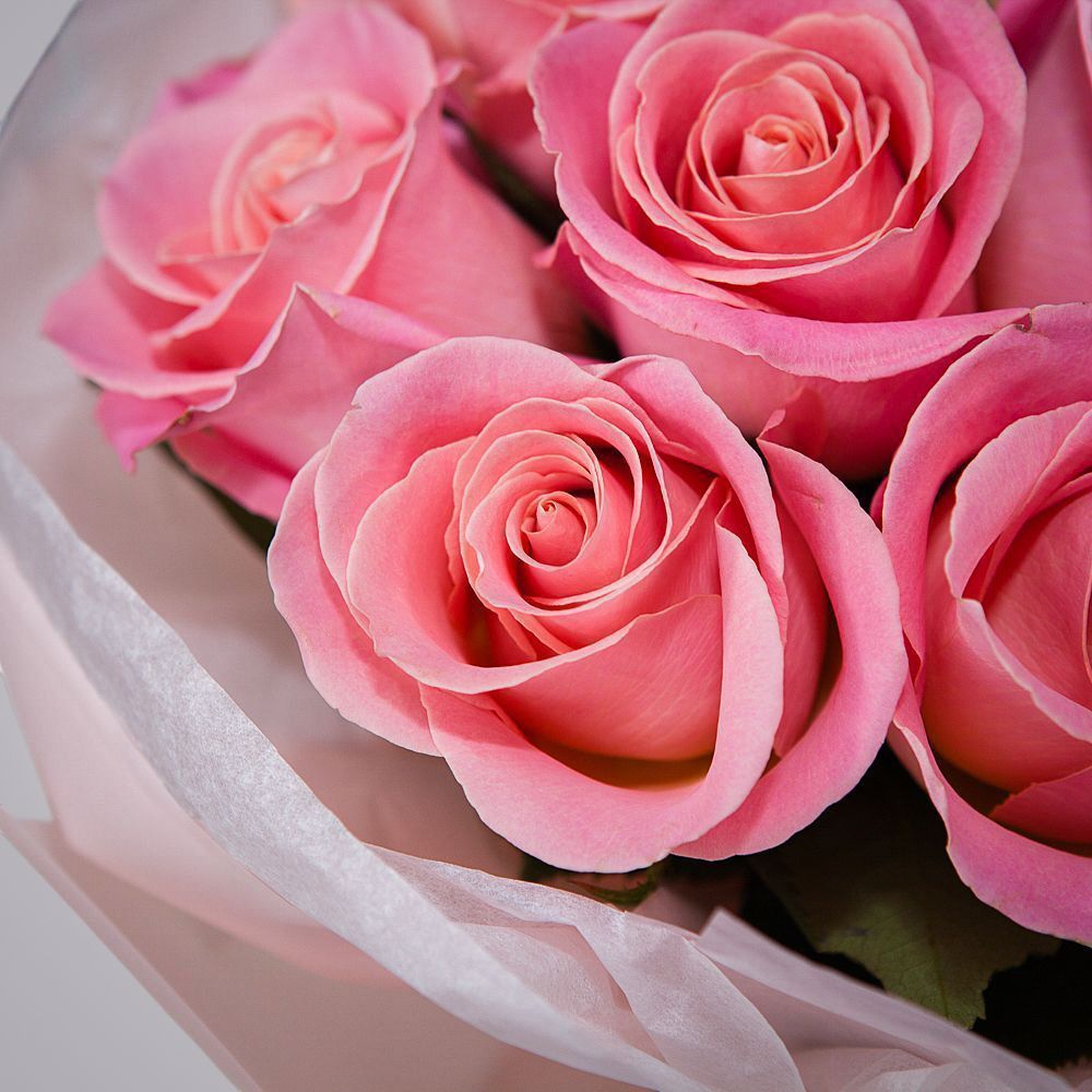 монобукет 9 роз "hermosa" в упаковке с тишью 