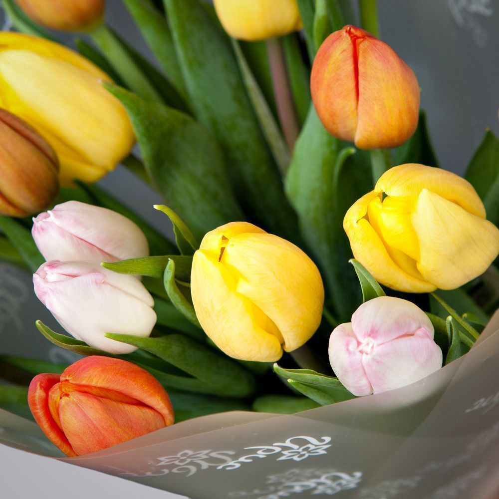 монобукет из 17 тюльпанов микс в упаковке 