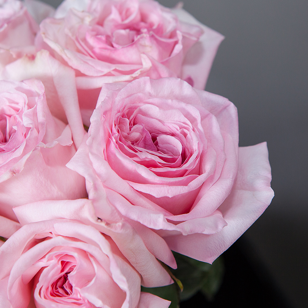 монобукет 9 роз "pink o`hara" под ленту 