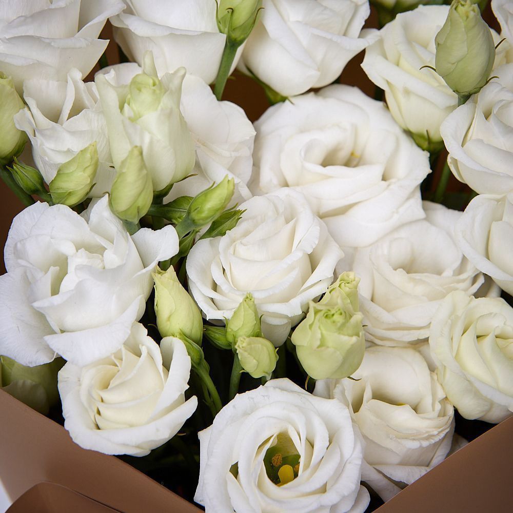 монобукет из 5 белых лизиантусов в упаковке 