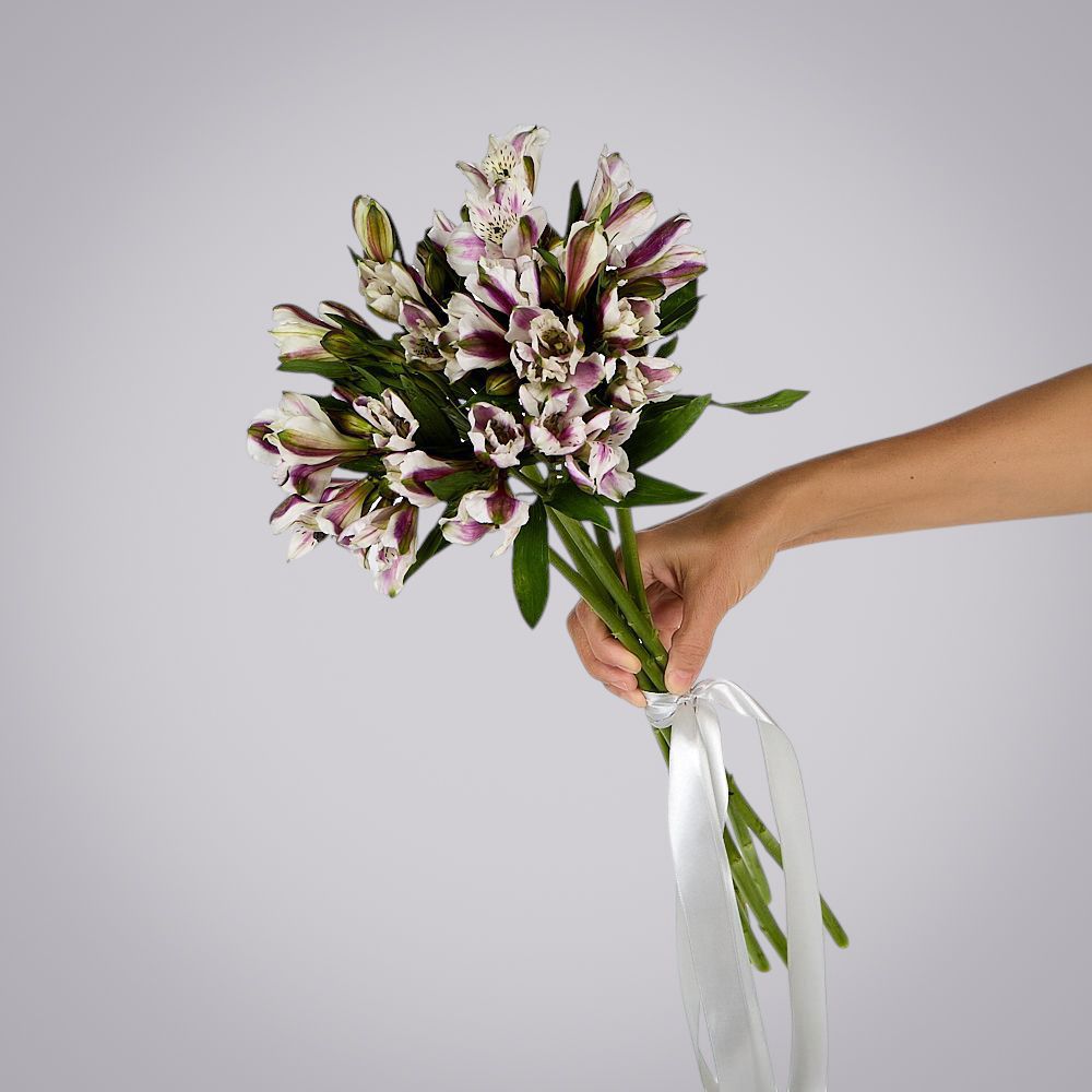 монобукет из 5 альстромерий под ленту  