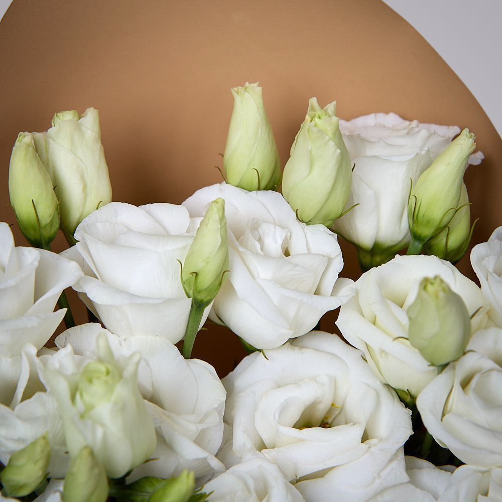 монобукет из 5 белых лизиантусов в упаковке 