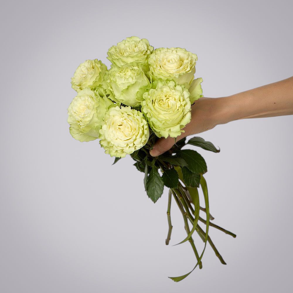 монобукет 7 пионовидных роз "lemonade" под ленту 