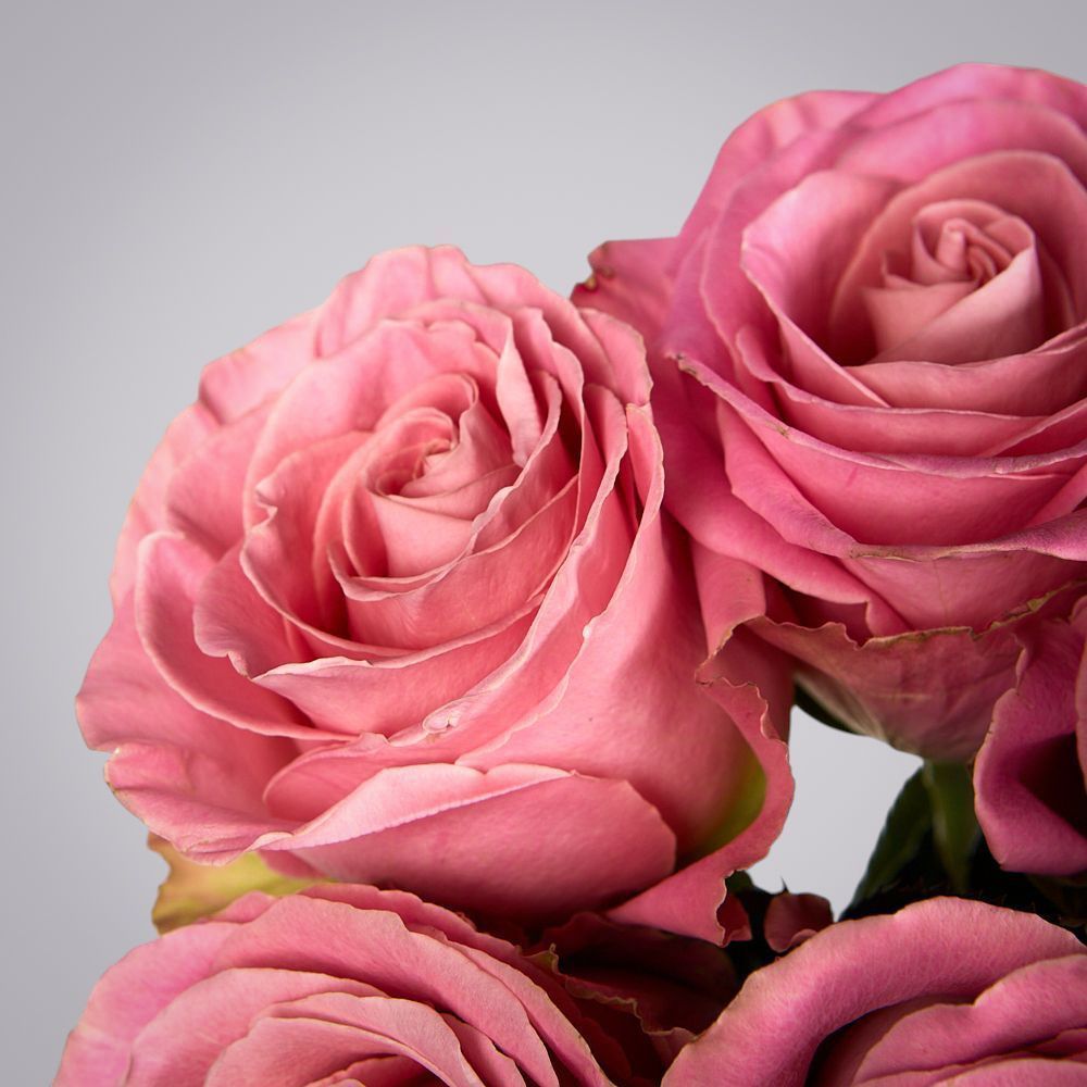 монобукет из 5 роз "hermosa" под ленту 