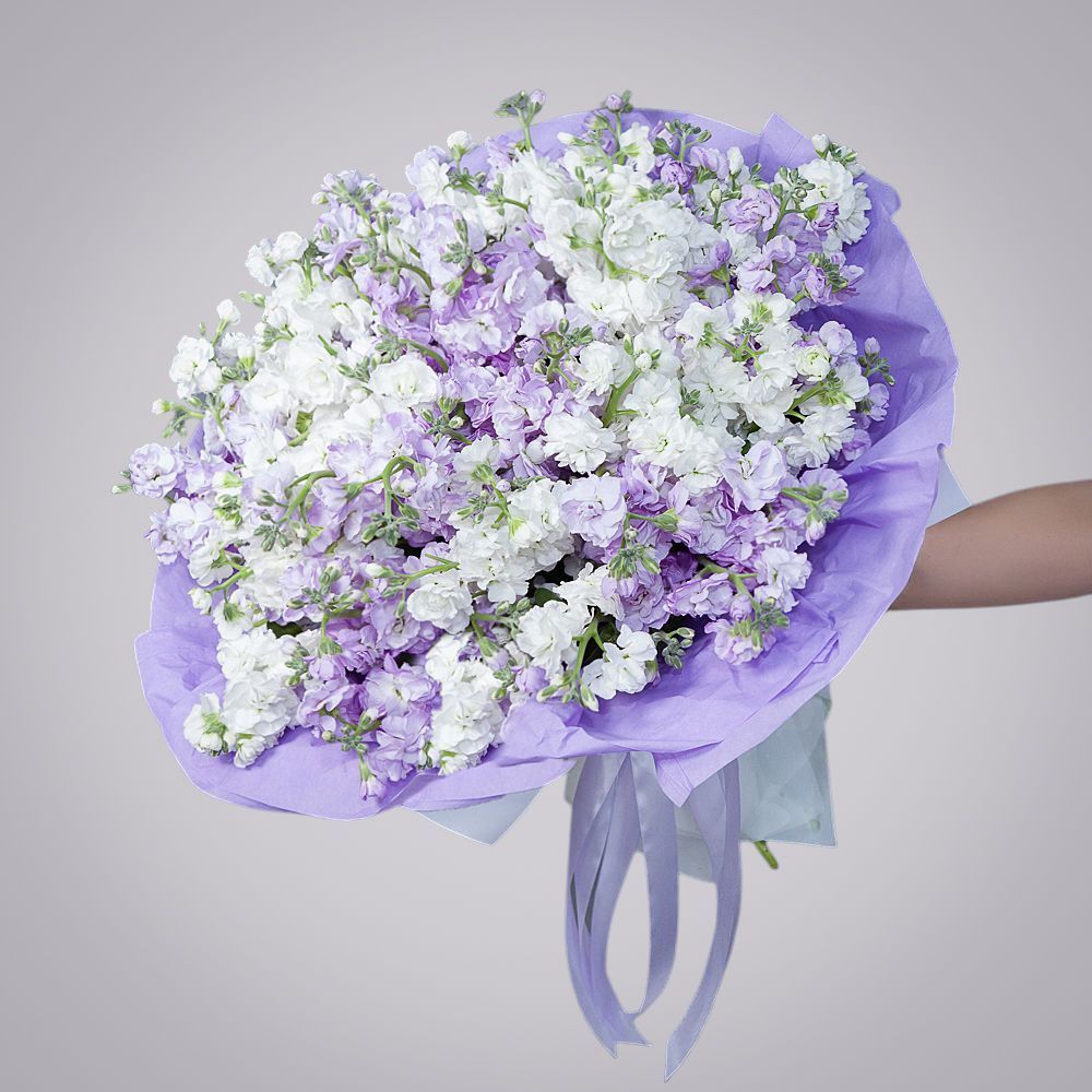 монобукет маттиола сиренево-белая 29 шт 