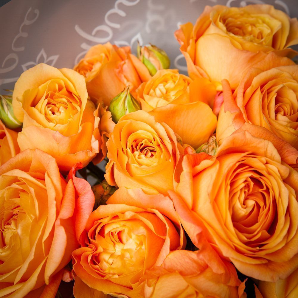 монобукет 5 кустовых роз "apricot lace"  в белой упаковке 